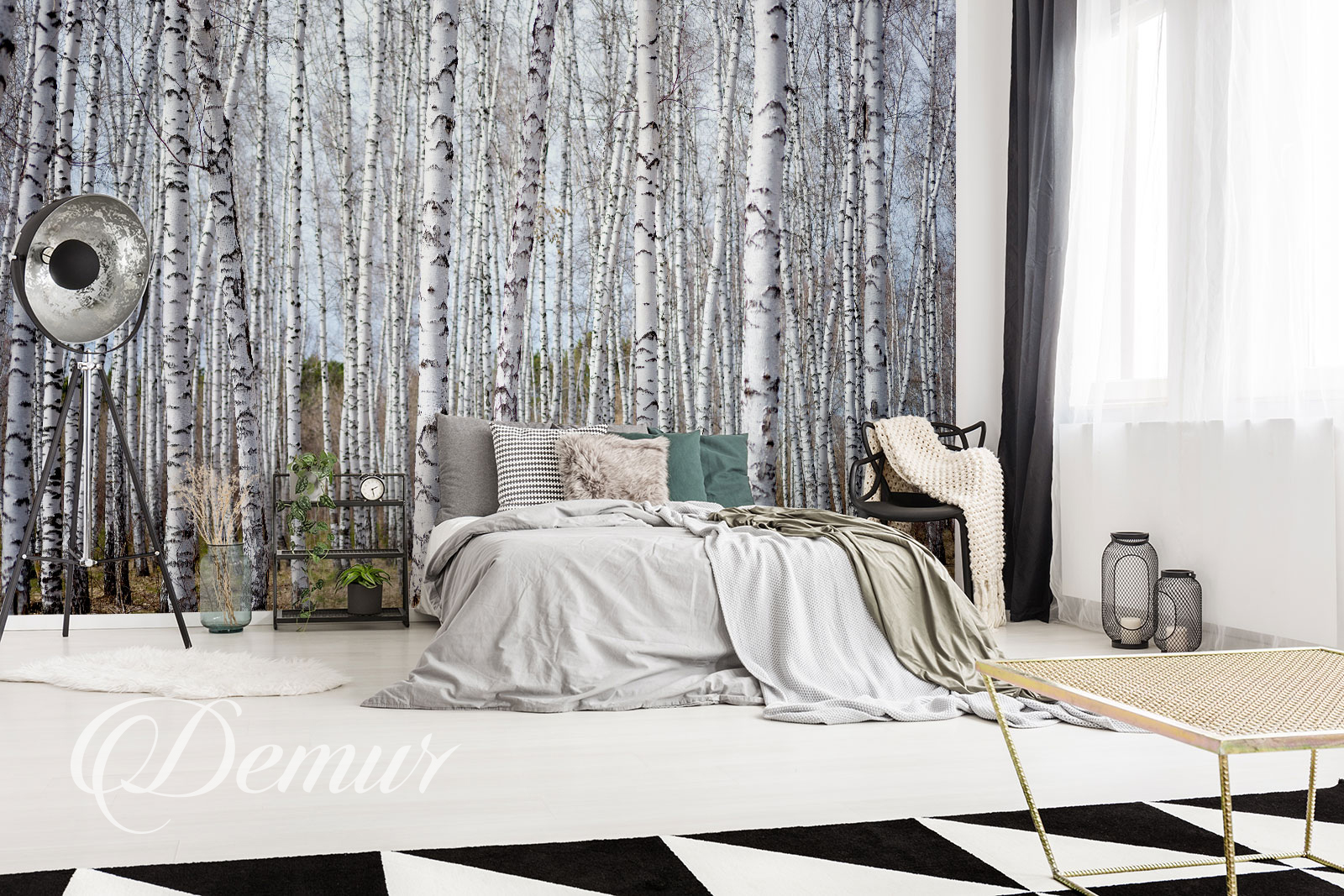 Fototapeta las brzozowy - Pomysł na ścianę w sypialni - Demur
