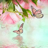 Beautiful roses and butterfly, flower, floral background  Plakaty do Sypialni Plakat