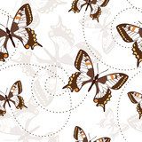 Seamless pattern with butterflies  Motyle Fototapeta