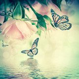 Beautiful roses and butterfly, flower, floral background  Motyle Fototapeta
