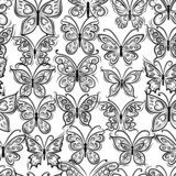Butterflies ornate, seamless pattern for your design  Motyle Fototapeta
