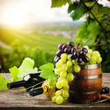 Bottles of red and white wine with fresh grape  Plakaty do kuchni Plakat