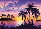 Tropical islands, palms, sky and birds  Plakaty do Salonu Plakat