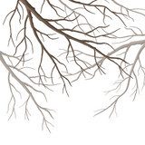 Vector Tree Branches  Na laptopa Naklejka