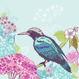 Bird with Flowers Background - for design and scrapbook - in vec  Obrazy do Sypialni Obraz