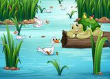 Animals and pond  Obrazy do Pokoju Dziecka Obraz