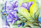 Wildflowers. Watercolor painting.  Olejne Obraz