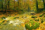 Autumn landscape mountain river  Krajobraz Fototapeta