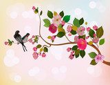 sakura , spring , postcard .  Orientalne Fototapeta