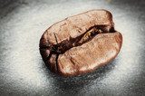 Coffee bean on grey background  Kawa Fototapeta