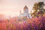 View of the Cathedral of Christ the Savior in Moscow  Prowansja Fototapeta