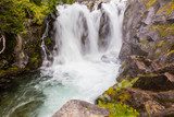Waterfall on the Paradise River, Mt. Rainier National Park  Fototapety Wodospad Fototapeta