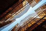 Upwards shot of Hong Kong office buildings reflecting light  Architektura Plakat
