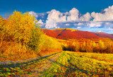 Colorful autumn landscape in the mountains  Plakaty do Sypialni Plakat