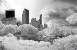Panorama infrared image of the Central Park  Fototapety Miasta Fototapeta