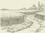Vector summer landscape. A dirt path through fields of wheat  Drawn Sketch Fototapeta