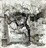 Tree near ruins  Drawn Sketch Fototapeta