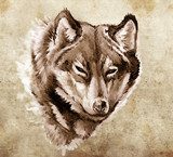 Sketch of tattoo art, Illustration of a Wolf head  Drawn Sketch Fototapeta
