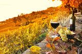 Glass of red wine on the terrace vineyard in Lavaux region, Swit  Obrazy do Jadalni Obraz