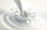 Milch-Splash  Obrazy do Jadalni Obraz