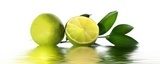 green lime  Owoce Obraz