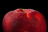 Red apple  Owoce Obraz