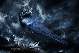 Black raven in moonlight perched on tree. Scary, creepy, gothic  Zwierzęta Plakat