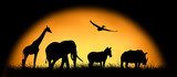 Silhouette african animals on the background of sunset Zwierzęta Plakat