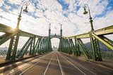 beautiful liberty bridge at budapest, hungary Industrialne Fototapeta