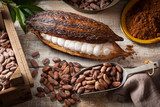 Cocoa beans and pod Obrazy do Jadalni Obraz