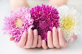 Woman cupped hands with beautiful French manicure holding pink and white flowers Obrazy do Salonu Kosmetycznego Obraz