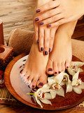 female feet at spa salon on pedicure procedure  Kwiaty Plakat