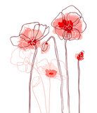 Red poppies on white background. Vector illustration  Kwiaty Plakat