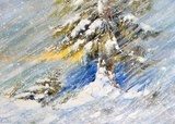 Fir-tree in snow. A picture drawn by oil  Olejne Obraz