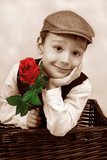 vintage portrait of elegant little boy with red rosa  Fototapety Sepia Fototapeta