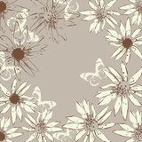 vector floral   background with blooming chamomiles  Rysunki kwiatów Fototapeta