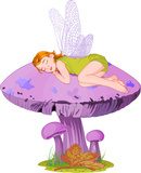 Mała śpiąca elfica Fototapety do Pokoju Dziewczynki Fototapeta