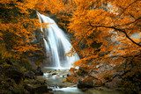 Beautiful Waterfall. Autumn  Krajobraz Fototapeta