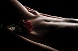 Nackter Bauch mit Rose  Erotyka Obraz