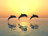 Jumping Dolphins  Zwierzęta Obraz