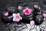 Spa stones with drops and pink sakura flowers  Kwiaty Obraz