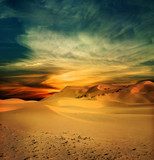 Sandy desert at sunset time  Krajobrazy Obraz