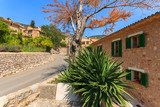Road and houses on street of Fornalutx village, Majorca island  Fototapety Uliczki Fototapeta