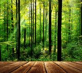 Fresh green forest with sunbeams and wooden floor  Las Fototapeta