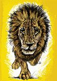 Sketch of a big male African lion  Drawn Sketch Fototapeta