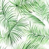 Akwarela liści palmowych. Tropikalny pakunek dla Tapety Natura Tapeta
