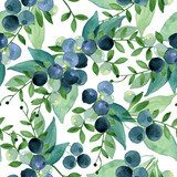 Akwarela zielonych liści i niebieskie jagody. Tapety Do salonu Tapeta