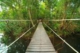 Bridge to the jungle,Khao Yai national park,Thailand Fototapety Mosty Fototapeta