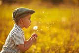 cute little boy with dandelions  Dmuchawce Fototapeta
