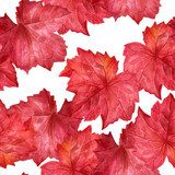 jasnoczerwonych liści heuchera Tapety Pory roku Tapeta